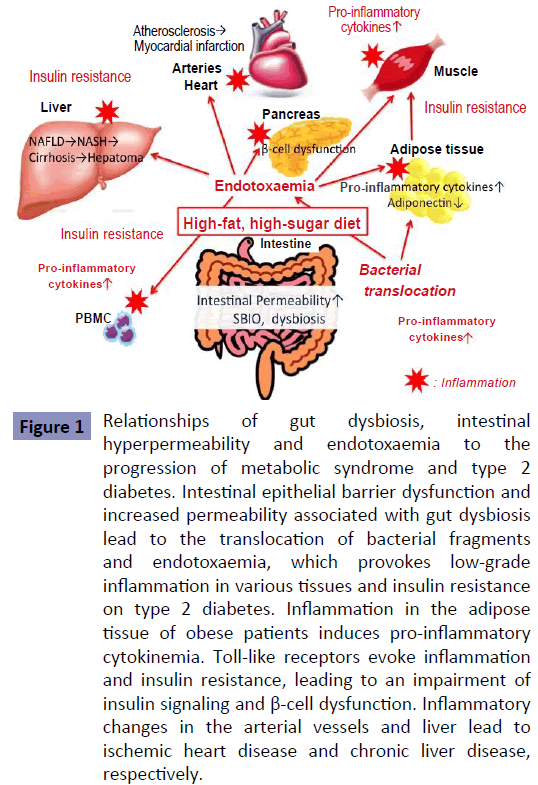 clinical-nutrition-Relationships-gut